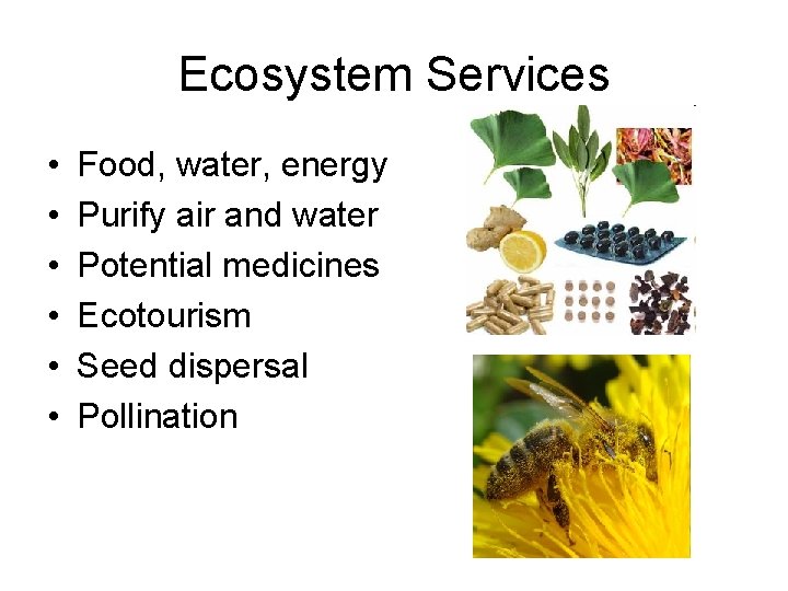 Ecosystem Services • • • Food, water, energy Purify air and water Potential medicines