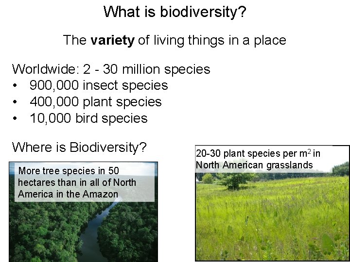 What is biodiversity? The variety of living things in a place Worldwide: 2 -