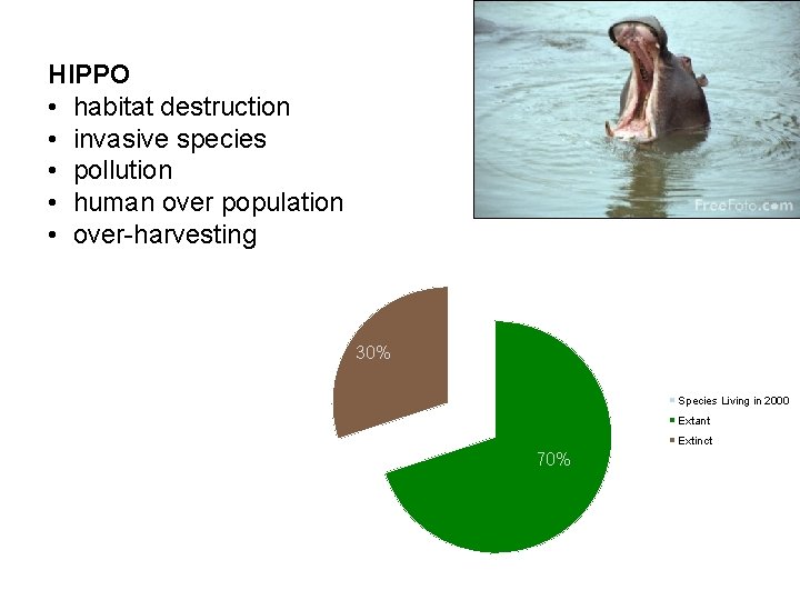 HIPPO • habitat destruction • invasive species • pollution • human over population •