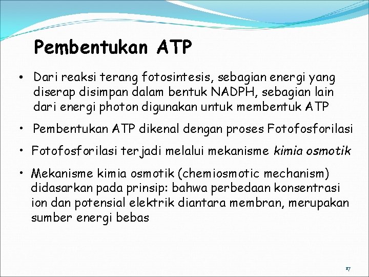 Pembentukan ATP • Dari reaksi terang fotosintesis, sebagian energi yang diserap disimpan dalam bentuk