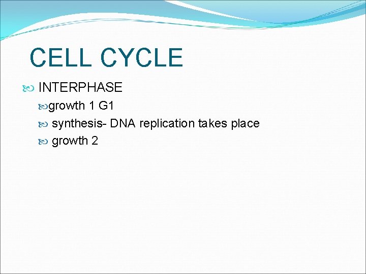 CELL CYCLE INTERPHASE growth 1 G 1 synthesis- DNA replication takes place growth 2