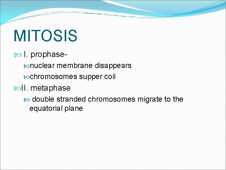 MITOSIS I. prophase nuclear membrane disappears chromosomes supper coil II. metaphase double stranded chromosomes