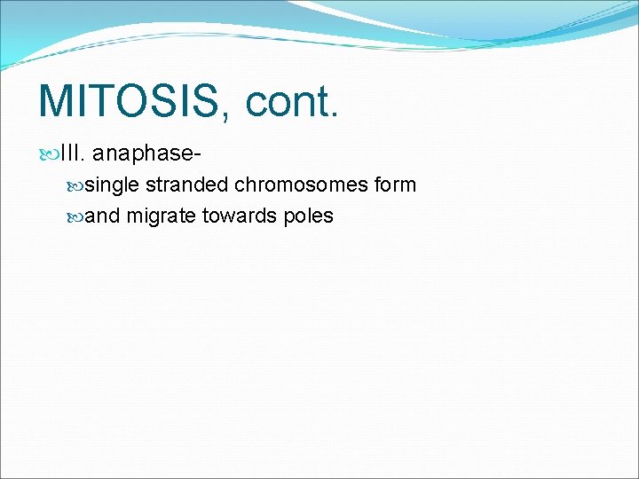 MITOSIS, cont. III. anaphase single stranded chromosomes form and migrate towards poles 