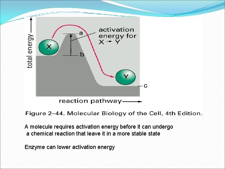 A molecule requires activation energy before it can undergo a chemical reaction that leave