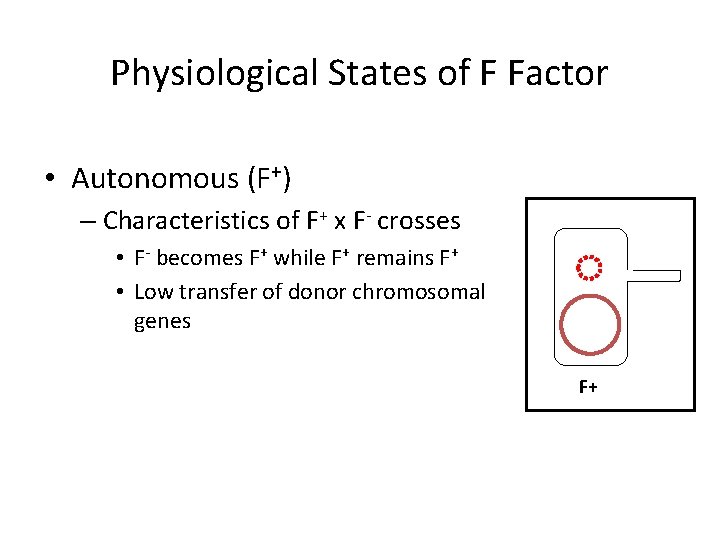 Physiological States of F Factor • Autonomous (F+) – Characteristics of F+ x F-