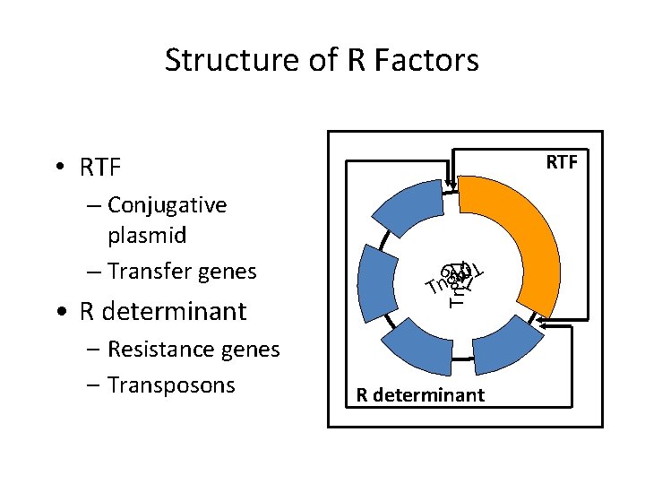 Structure of R Factors • RTF – Resistance genes – Transposons 0 1 n