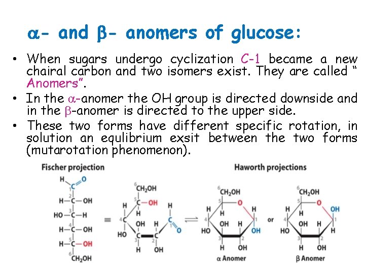  - and - anomers of glucose: • When sugars undergo cyclization C-1 became