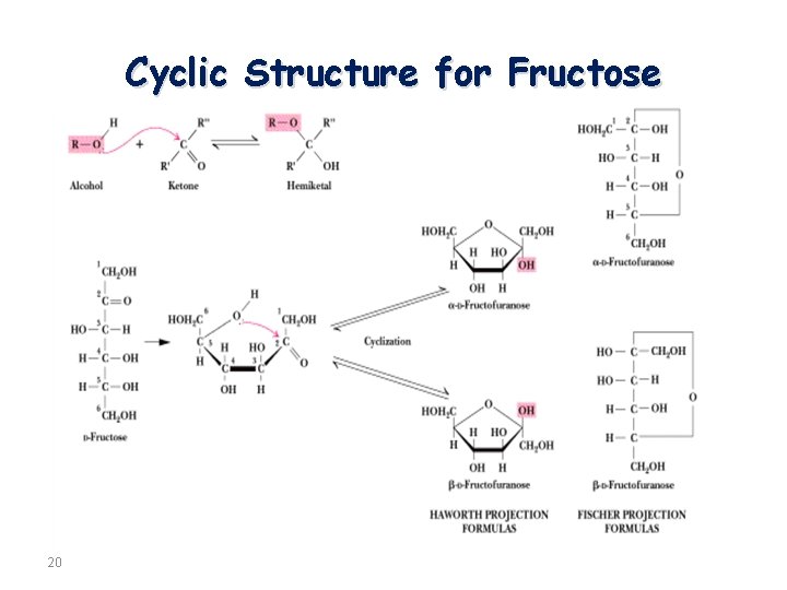 Cyclic Structure for Fructose 20 