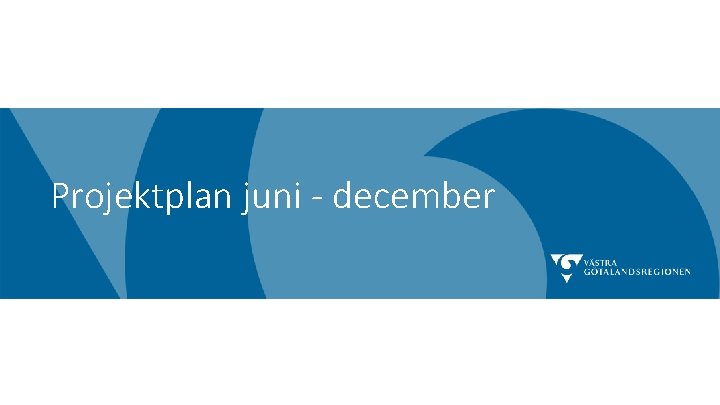 Projektplan juni - december 