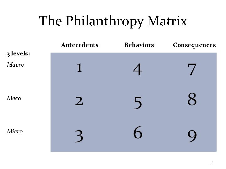 The Philanthropy Matrix Antecedents Behaviors Consequences 3 levels: Macro Meso Micro 3 