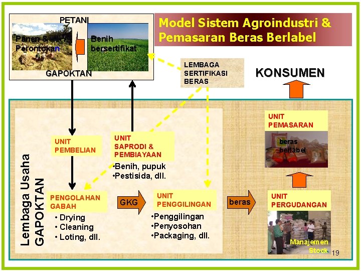 PETANI Panen & Perontokan Benih bersertifikat Model Sistem Agroindustri & Pemasaran Beras Berlabel LEMBAGA