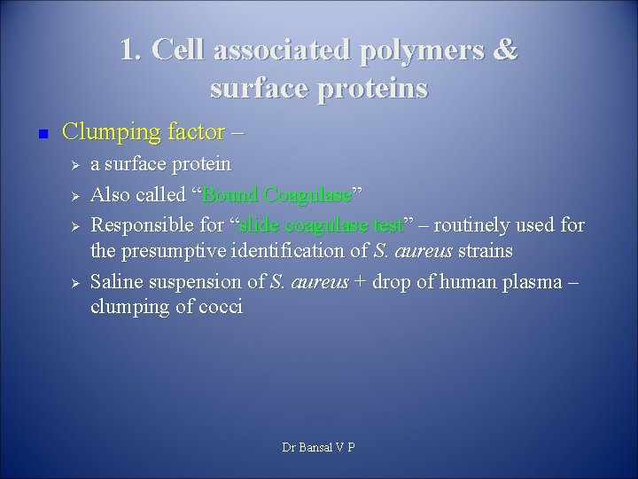 1. Cell associated polymers & surface proteins n Clumping factor – Ø Ø a