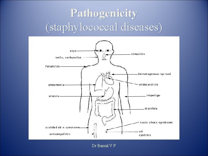 Pathogenicity (staphylococcal diseases) Dr Bansal V P 