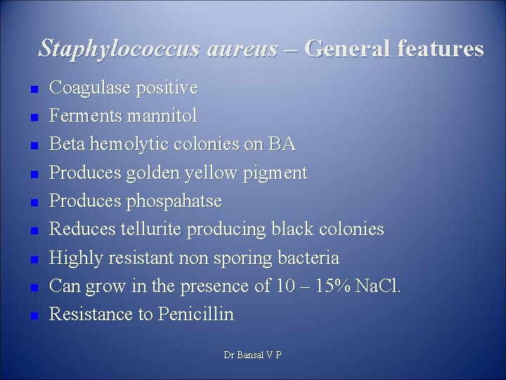 Staphylococcus aureus – General features n n n n n Coagulase positive Ferments mannitol