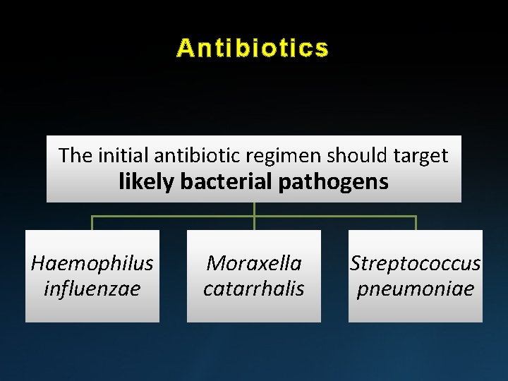 Antibiotics The initial antibiotic regimen should target likely bacterial pathogens Haemophilus influenzae Moraxella catarrhalis