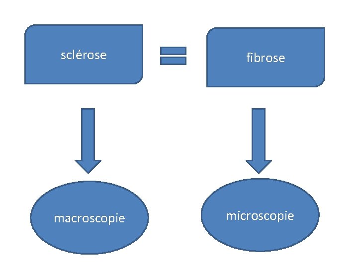sclérose macroscopie fibrose microscopie 