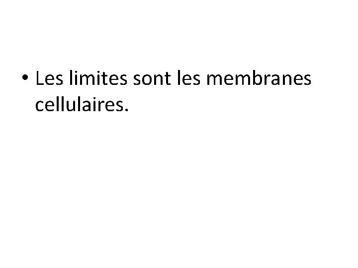  • Les limites sont les membranes cellulaires. 