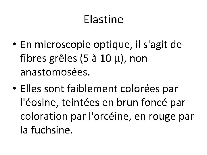 Elastine • En microscopie optique, il s'agit de fibres grêles (5 à 10 μ),