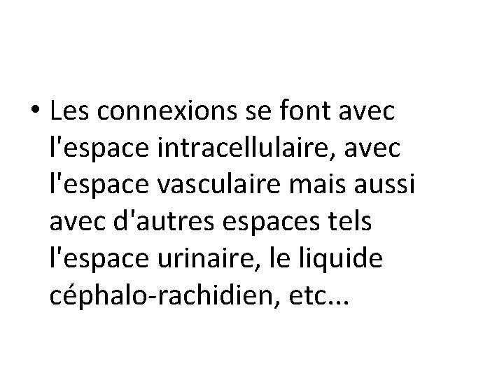  • Les connexions se font avec l'espace intracellulaire, avec l'espace vasculaire mais aussi