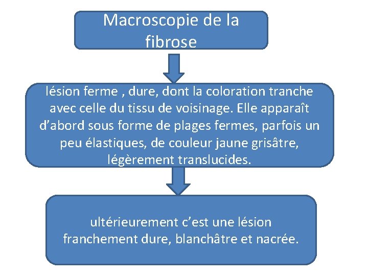 Macroscopie de la fibrose lésion ferme , dure, dont la coloration tranche avec celle