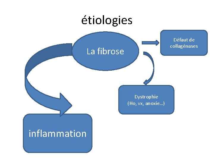 étiologies Défaut de collagénases La fibrose Dystrophie (Ho, vx, anoxie…) inflammation 