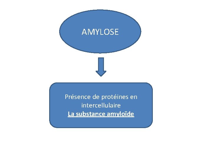 AMYLOSE Présence de protéines en intercellulaire La substance amyloïde 