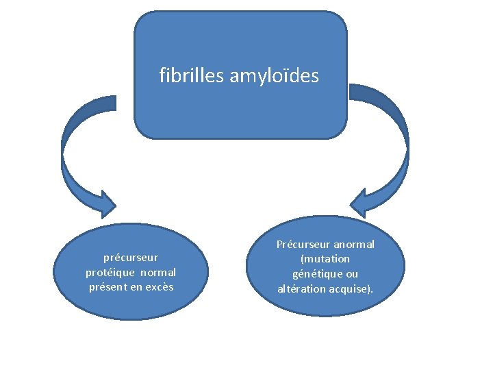 fibrilles amyloïdes précurseur protéique normal présent en excès Précurseur anormal (mutation génétique ou altération