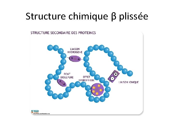 Structure chimique β plissée 