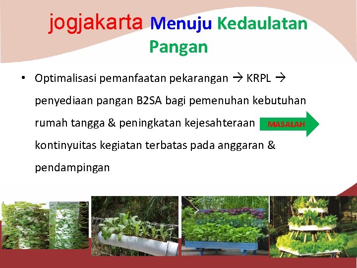 jogjakarta Menuju Kedaulatan Pangan • Optimalisasi pemanfaatan pekarangan KRPL penyediaan pangan B 2 SA