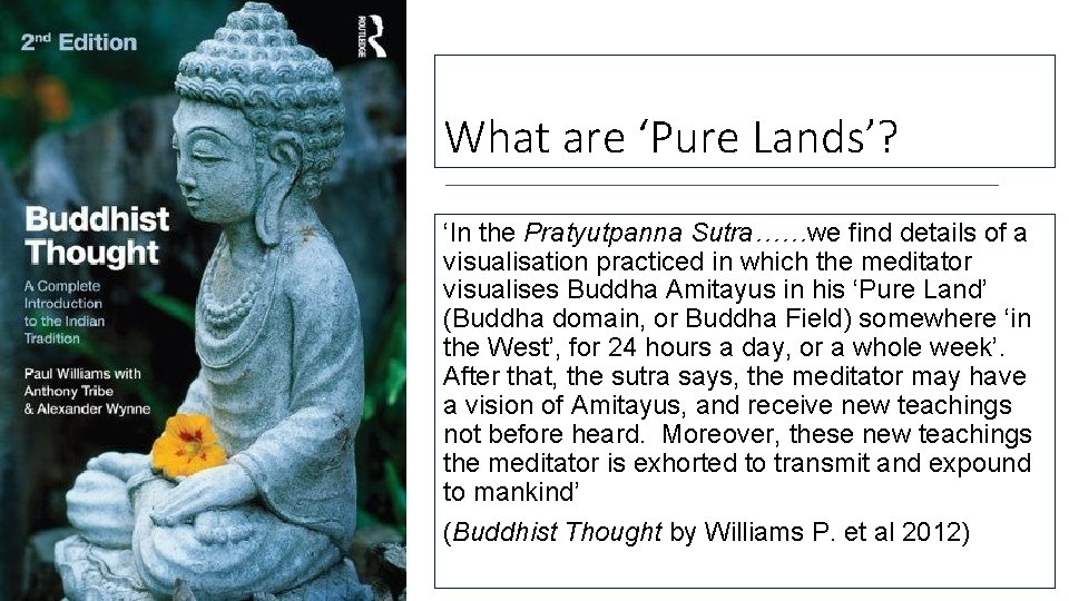 What are ‘Pure Lands’? ‘In the Pratyutpanna Sutra……we find details of a visualisation practiced