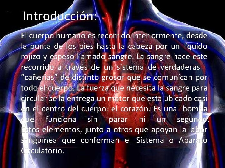 Introducción: El cuerpo humano es recorrido interiormente, desde la punta de los pies hasta