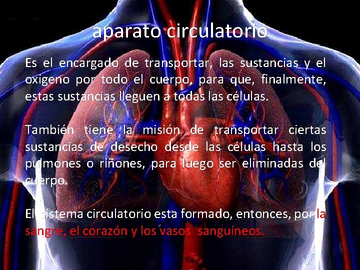  aparato circulatorio Es el encargado de transportar, las sustancias y el oxigeno por