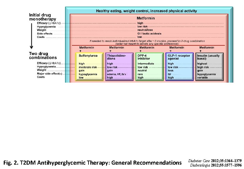 Fig. 2. T 2 DM Antihyperglycemic Therapy: General Recommendations Diabetes Care 2012; 35: 1364–