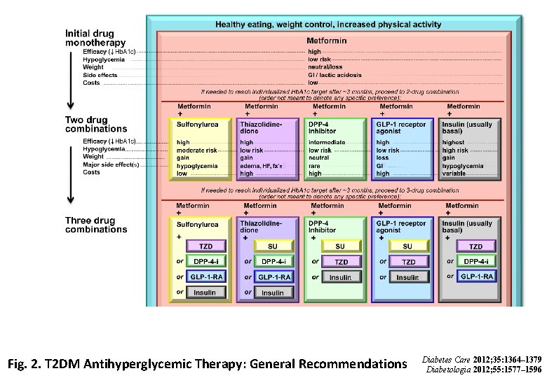 Fig. 2. T 2 DM Antihyperglycemic Therapy: General Recommendations Diabetes Care 2012; 35: 1364–