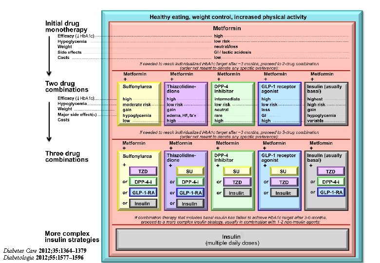 Diabetes Care 2012; 35: 1364– 1379 Diabetologia 2012; 55: 1577– 1596 