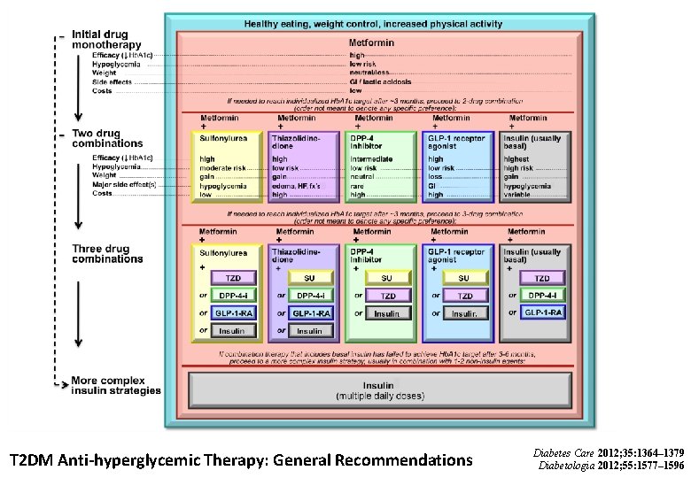 T 2 DM Anti-hyperglycemic Therapy: General Recommendations Diabetes Care 2012; 35: 1364– 1379 Diabetologia