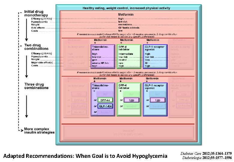 Adapted Recommendations: When Goal is to Avoid Hypoglycemia Diabetes Care 2012; 35: 1364– 1379