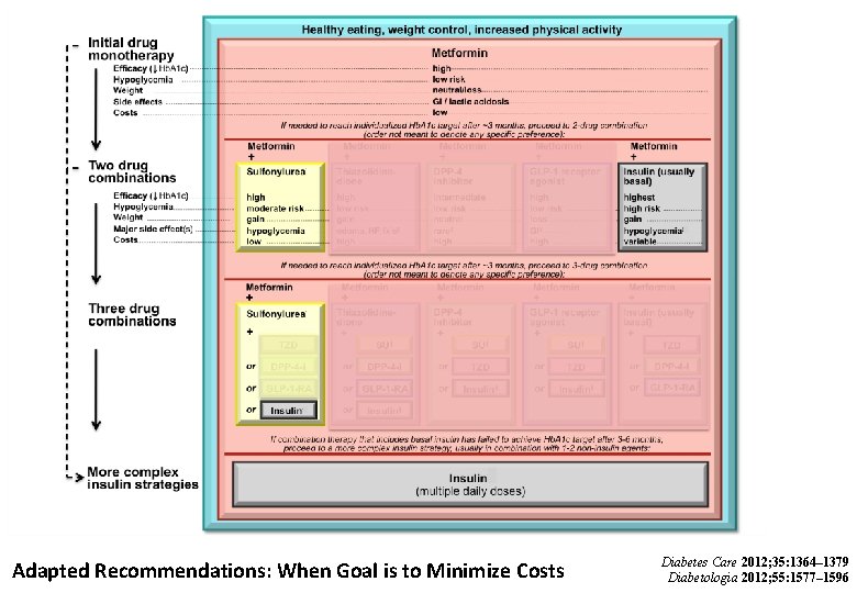 Adapted Recommendations: When Goal is to Minimize Costs Diabetes Care 2012; 35: 1364– 1379