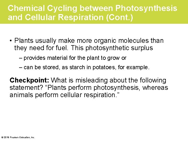 Chemical Cycling between Photosynthesis and Cellular Respiration (Cont. ) • Plants usually make more