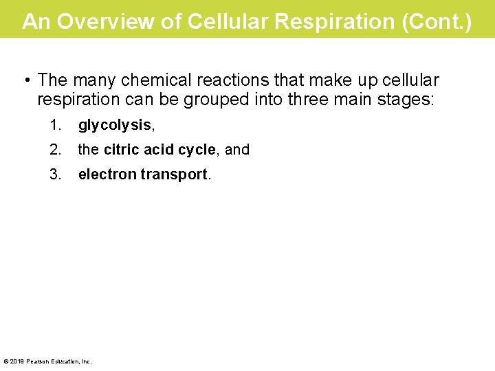An Overview of Cellular Respiration (Cont. ) • The many chemical reactions that make