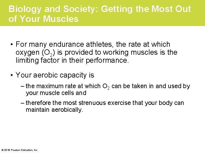 Biology and Society: Getting the Most Out of Your Muscles • For many endurance