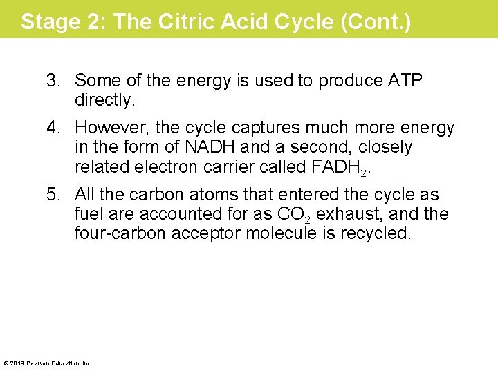 Stage 2: The Citric Acid Cycle (Cont. ) 3. Some of the energy is