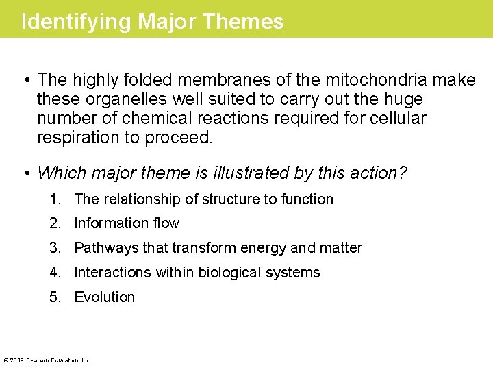 Identifying Major Themes • The highly folded membranes of the mitochondria make these organelles