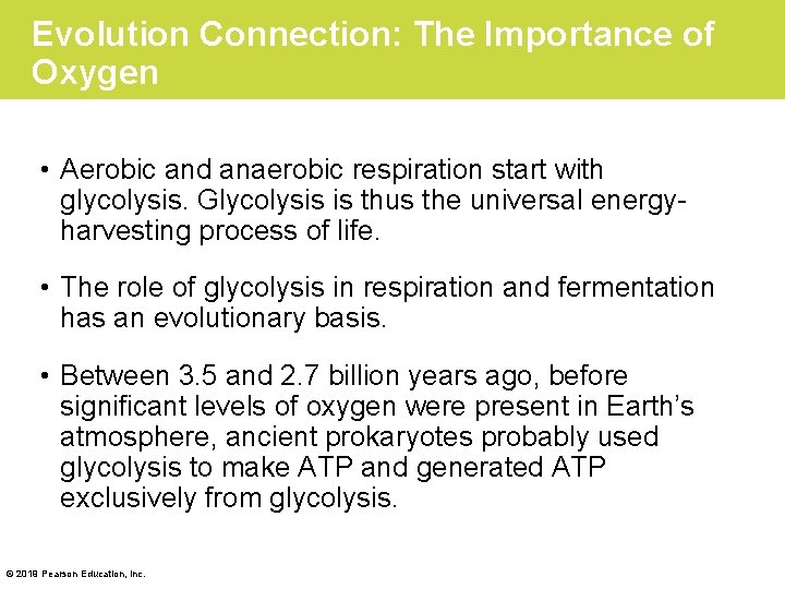 Evolution Connection: The Importance of Oxygen • Aerobic and anaerobic respiration start with glycolysis.