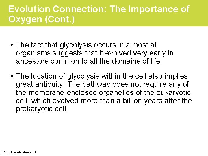 Evolution Connection: The Importance of Oxygen (Cont. ) • The fact that glycolysis occurs
