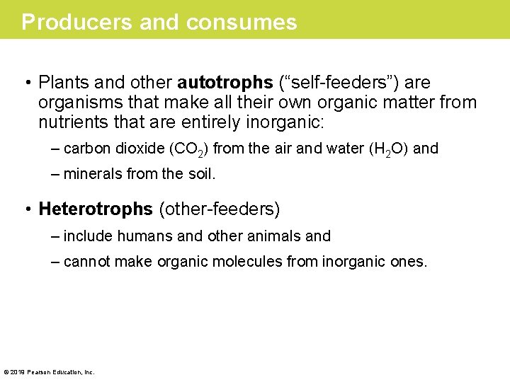 Producers and consumes • Plants and other autotrophs (“self-feeders”) are organisms that make all