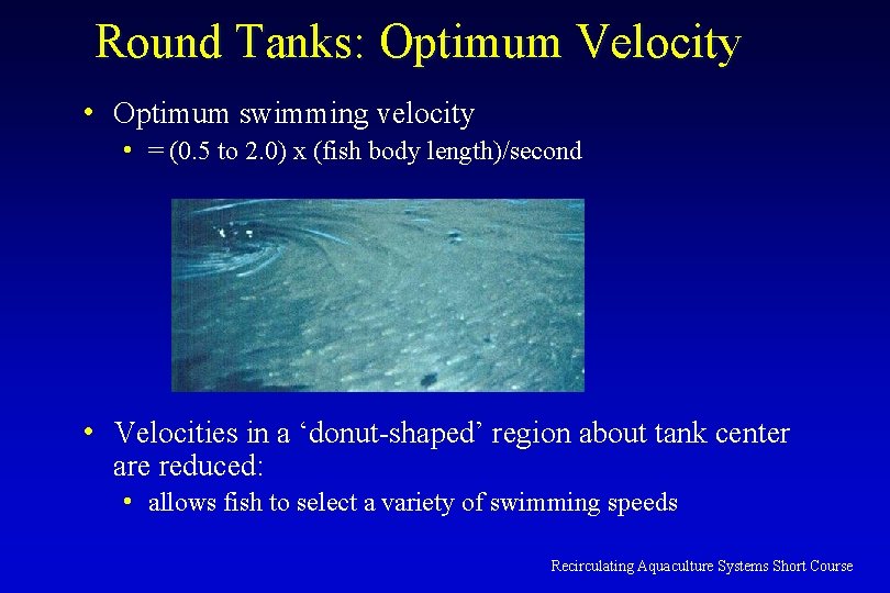 Round Tanks: Optimum Velocity • Optimum swimming velocity • = (0. 5 to 2.