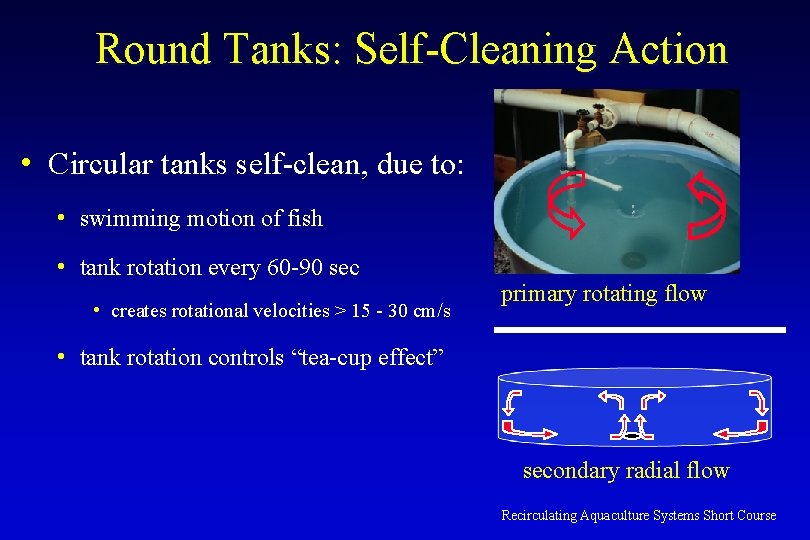 Round Tanks: Self-Cleaning Action • Circular tanks self-clean, due to: • swimming motion of