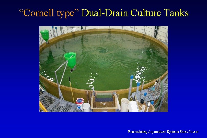 “Cornell type” Dual-Drain Culture Tanks Recirculating Aquaculture Systems Short Course 