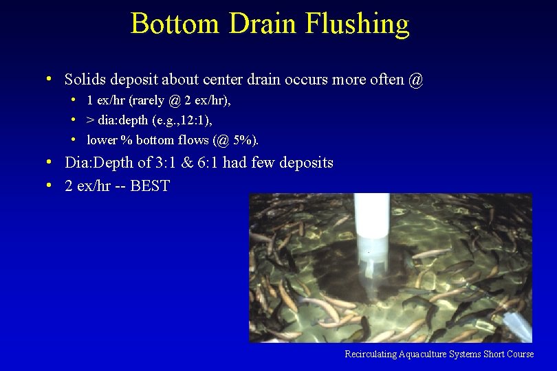 Bottom Drain Flushing • Solids deposit about center drain occurs more often @ •